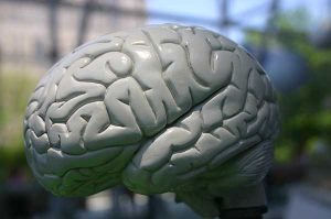 Disability Tax Credit Eligibility for Epileptic Canadians